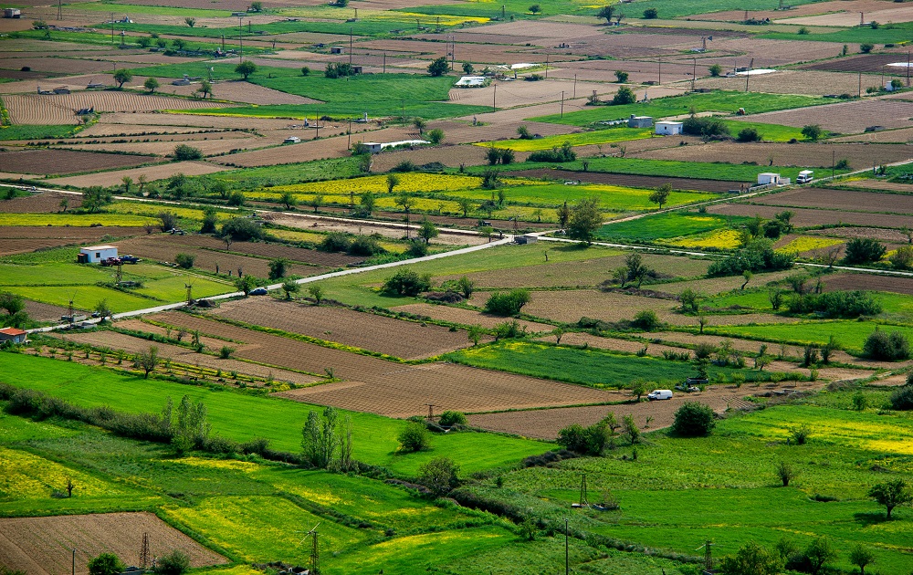 Can You Buy DHA Lahore Plots Through a Short Sale in 2025?